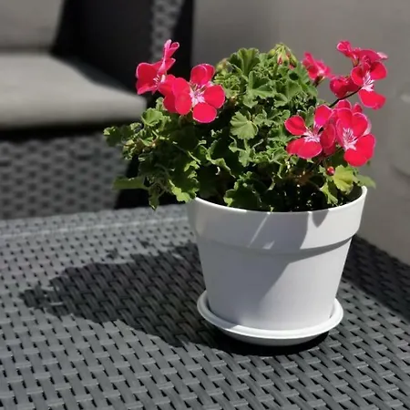 דירה Casa Chiara *