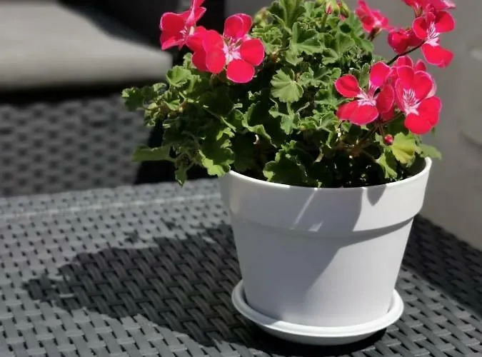 Lejlighed Casa Chiara *